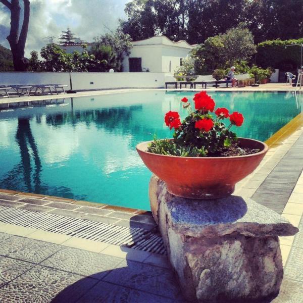 Hotel Al Bosco Forio di Ischia Buitenkant foto