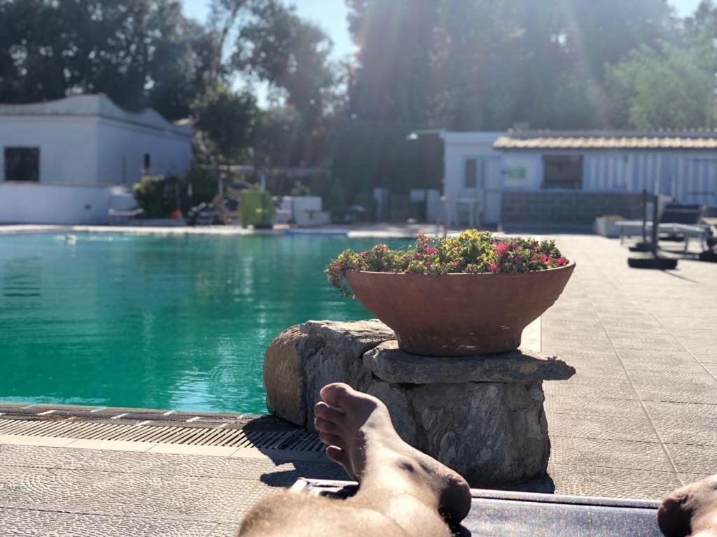 Hotel Al Bosco Forio di Ischia Buitenkant foto